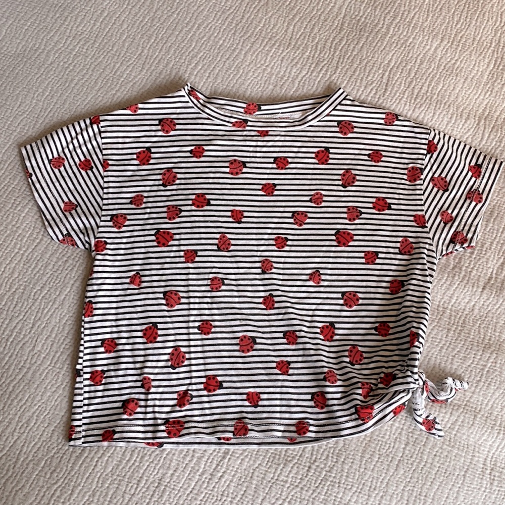ZARA GIRLS COLLECTION Short sleeve striped Ladybug tee